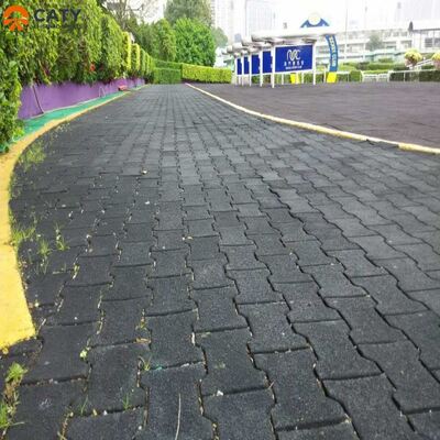 Fácil instalación y baldosas de goma de hueso de perro antideslizante para pasarelas al aire libre y caminos de acondicionamiento físico