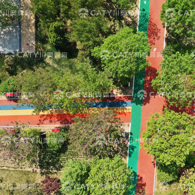 Granulados de EPDM de colores vibrantes para el gimnasio de la jungla Parque de juegos de matrícula de superficie Parque de juegos de salud al aire libre